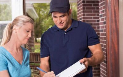 Keep Your Home Pest-Free: The Ultimate Guide to Pest Control
