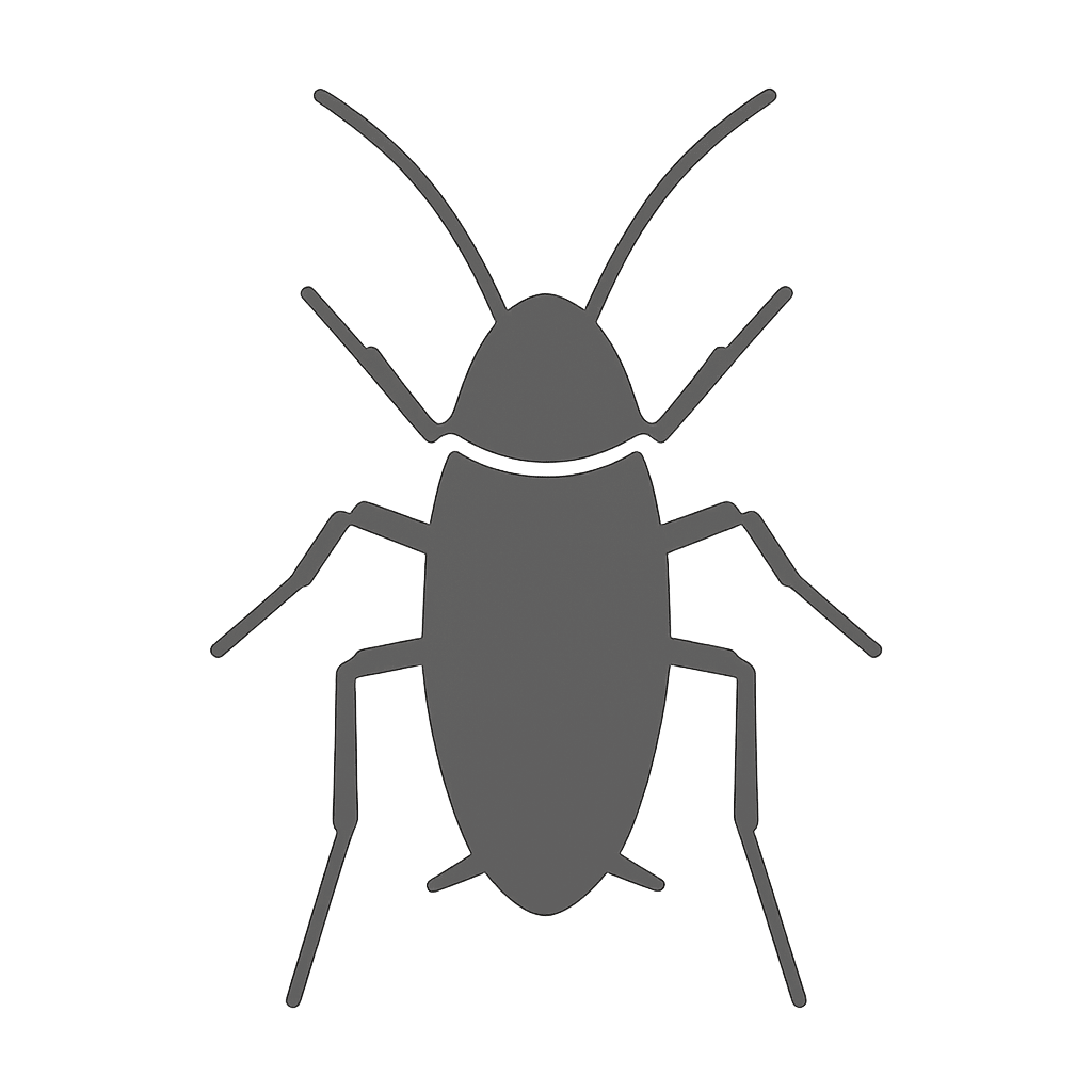 Cockroach Pest Control