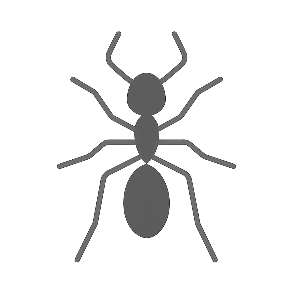 Ant Pest control