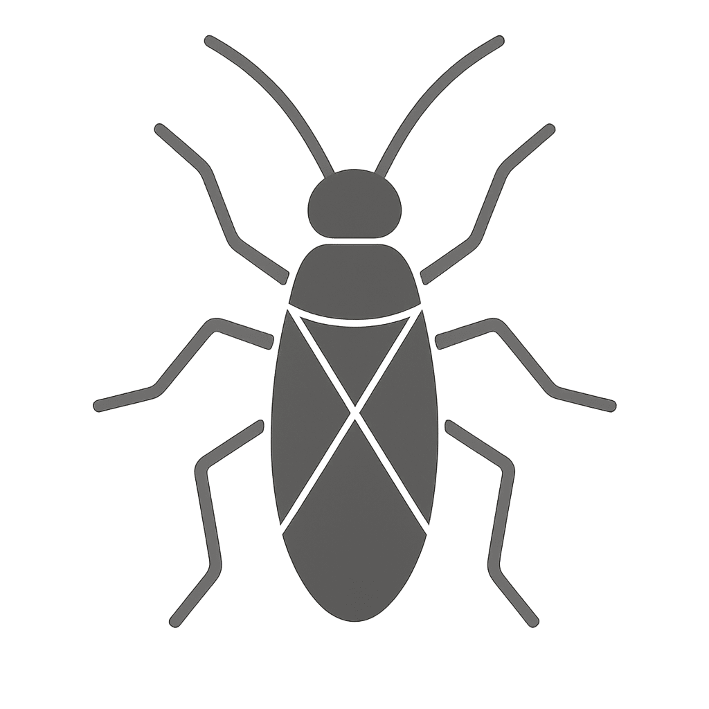 Box Elder Bugs Pest Control