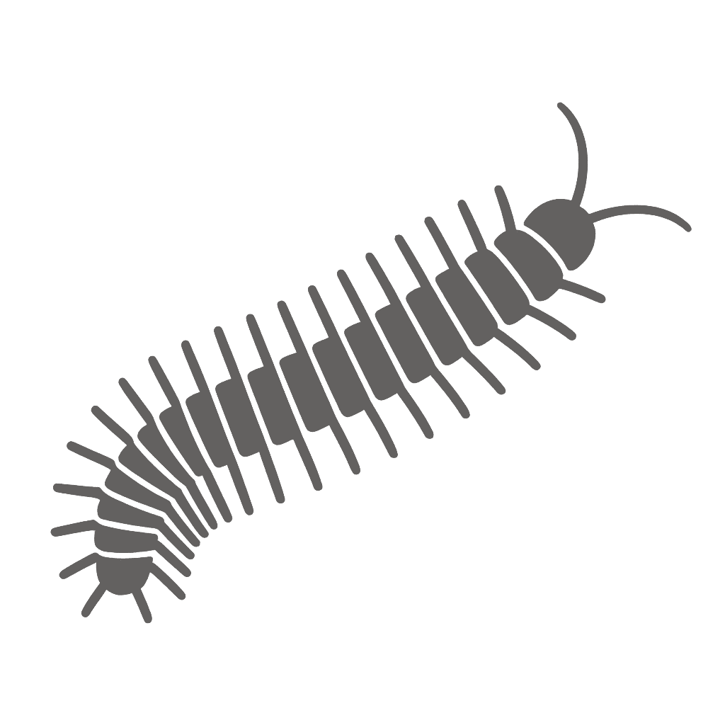 Millipedes pest control