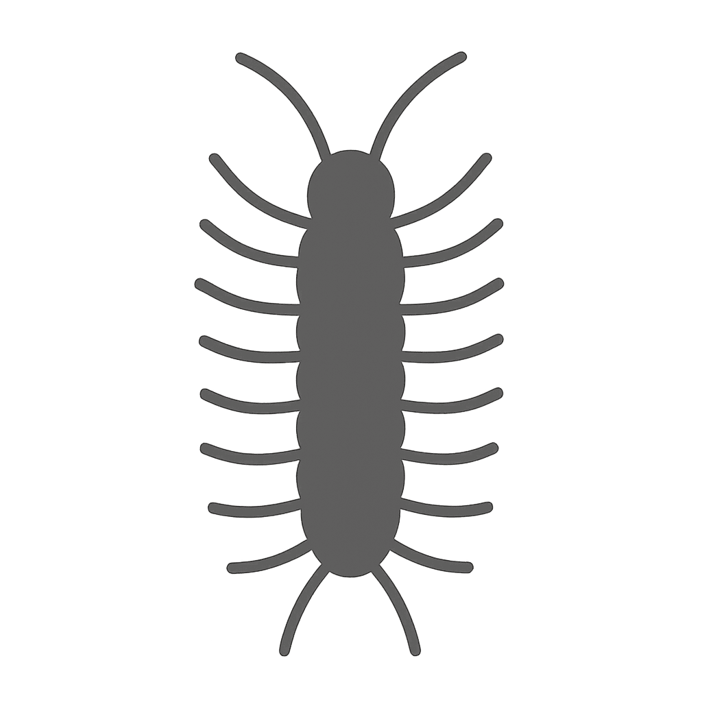 centipede pest control